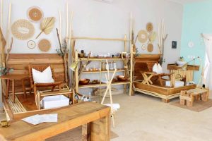 ZenVida Health & Wellness